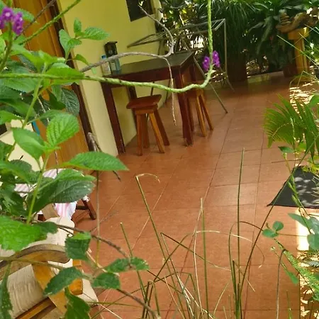 Apartamento Pura Vida, Free Parking, Wi-Fi, La Fortuna Exterior photo