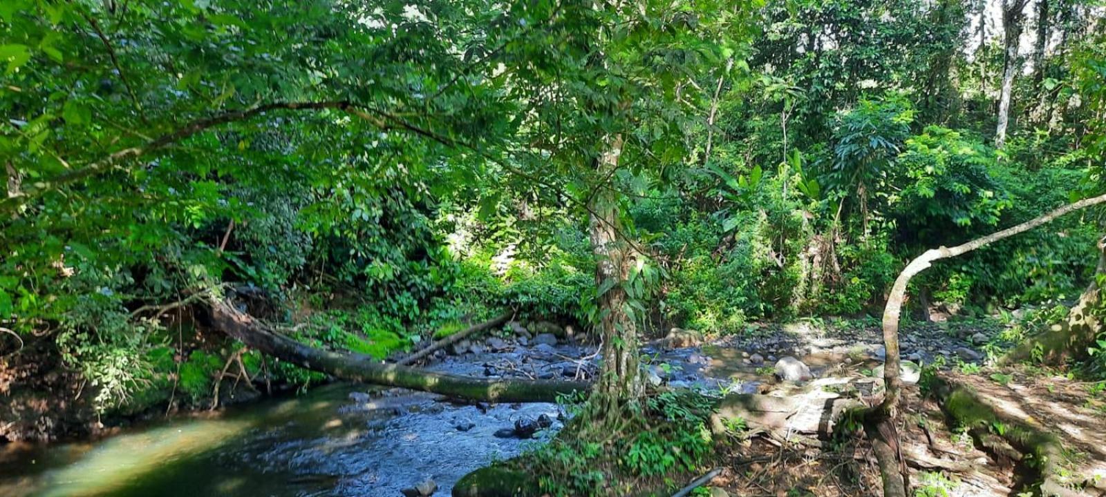 Pura Vida, Free Parking, Wi-fi, Appartement La Fortuna