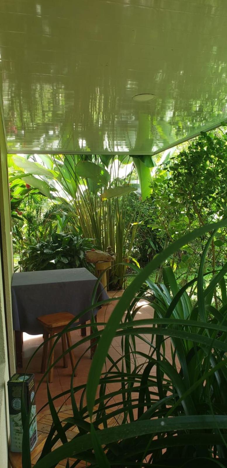 Pura Vida, Free Parking, Wi-fi, La Fortuna