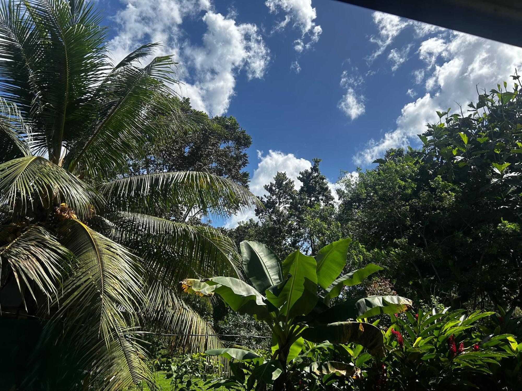 Pura Vida, Free Parking, Wi-fi, Appartement *
