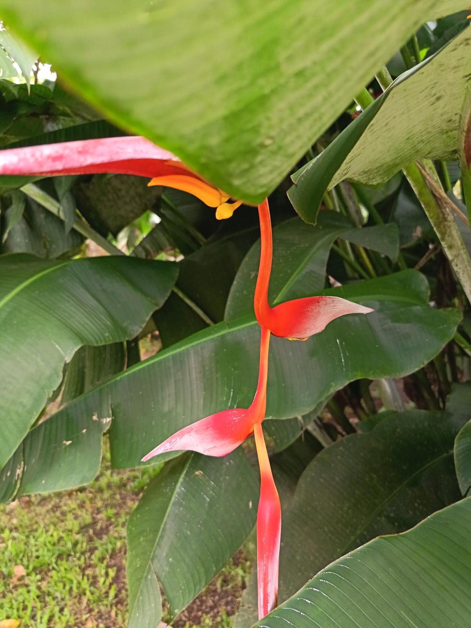 Appartement Pura Vida, Free Parking, Wi-fi,